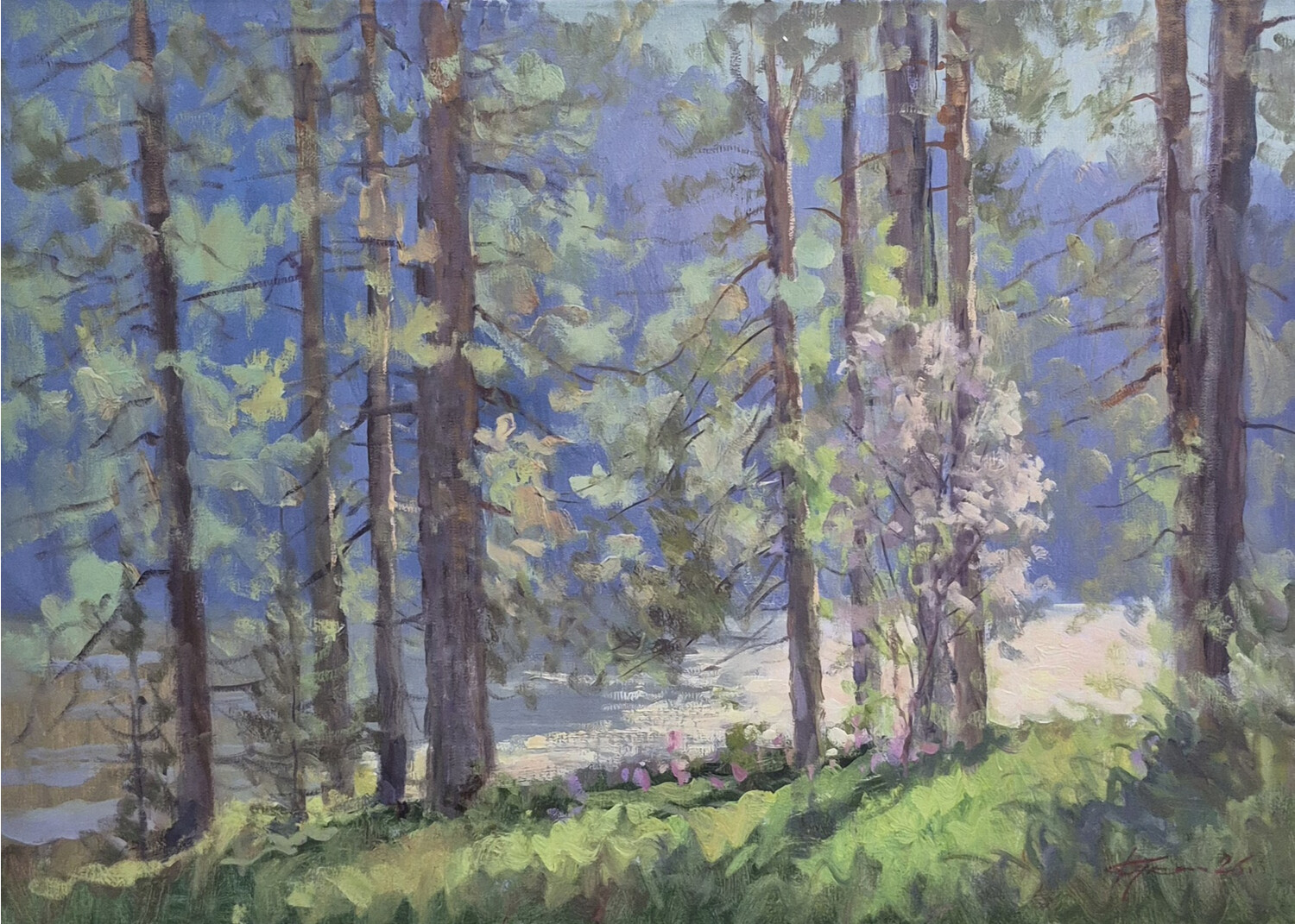 Черемуха у Катуни, Алтай